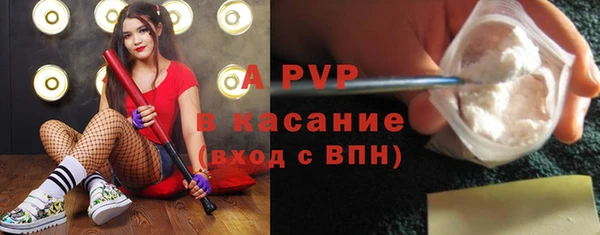прущие грибы Кинешма