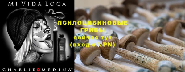прущие грибы Кинешма