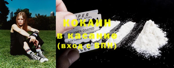 прущие грибы Кинешма
