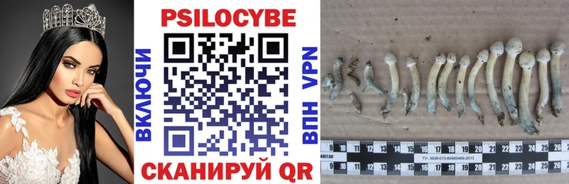 Купить закладки Дедовск Галлюциногенные грибы мухоморы